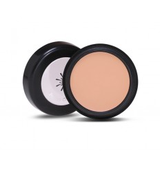 MISSHA, The Style Perfect Concealer 